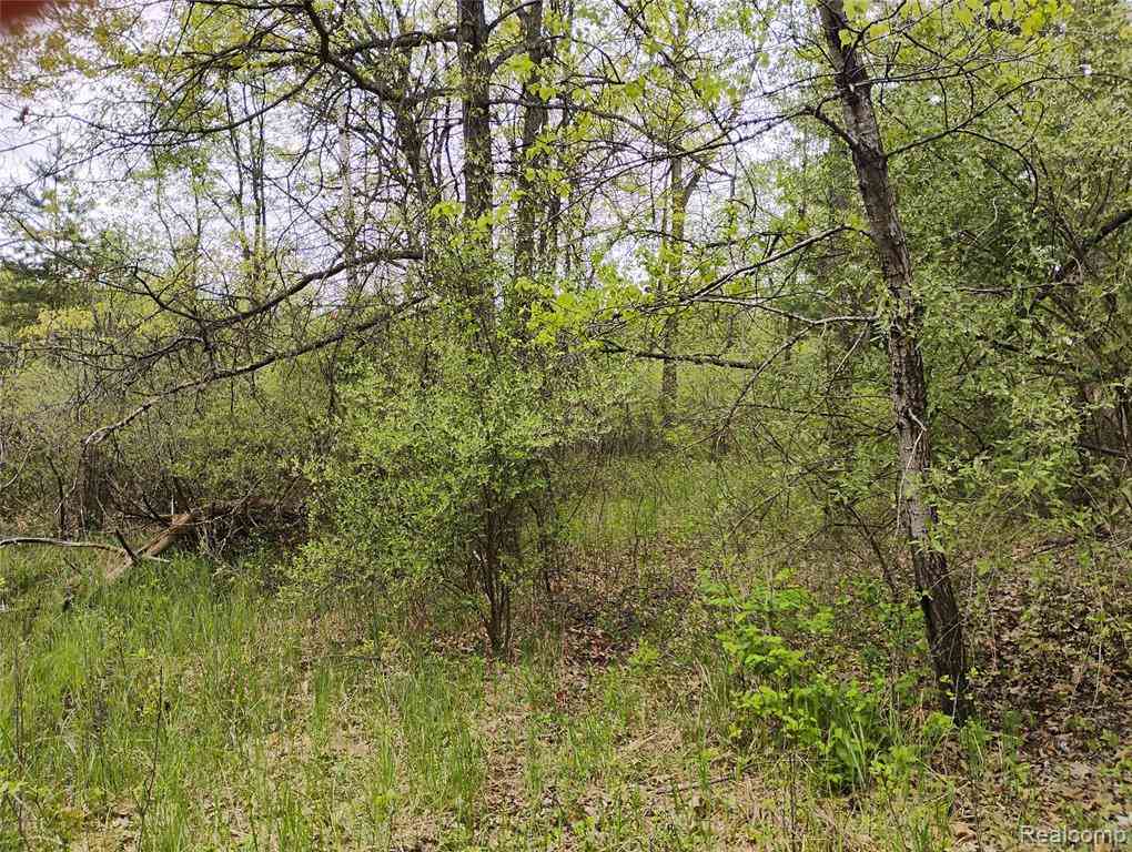 Vacant Land For Sale - 000 MIDDLE PARCEL C Middle Road <br/> Highland, MI 48357