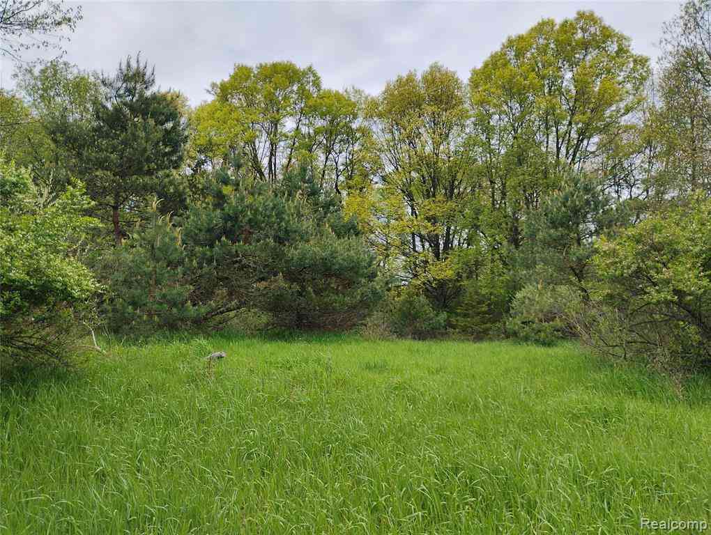 Vacant Land For Sale - 000 MIDDLE V/L 18.12 ACES Middle  <br/> Highland, MI 48357