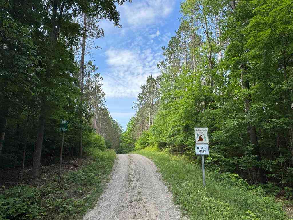 Vacant Land For Sale - 00 W Beeman Road <br/> Empire, MI 49630