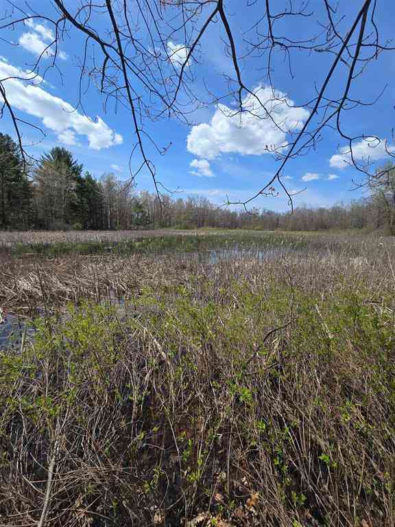 Vacant Land For Sale - TBD E Baseline Road <br/> White Cloud, MI 49349