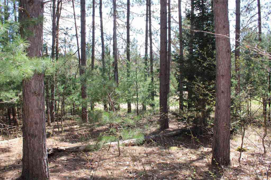 Vacant Land For Sale - Valley Road <br/> Rapid City, MI 49676