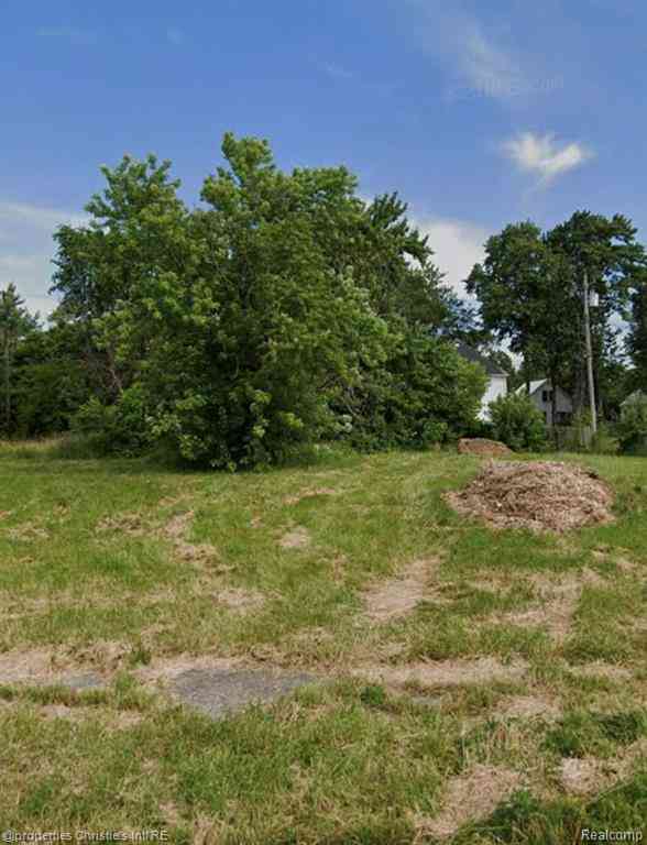 Vacant Land For Sale - 3627 Theodore Street <br/> Detroit, MI 48211