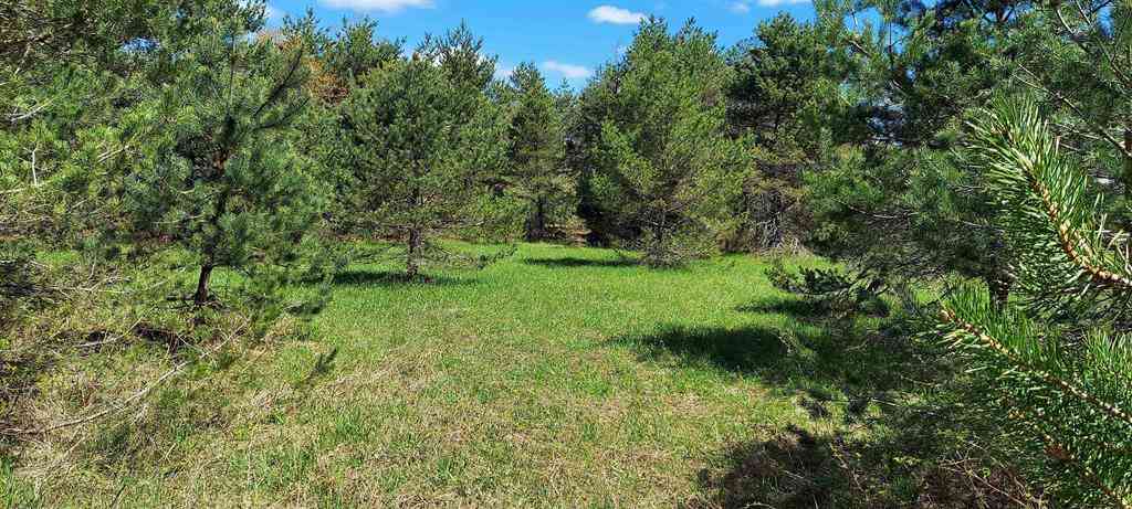 Vacant Land For Sale - TBD Johnson Road <br/> Mancelona, MI 49659