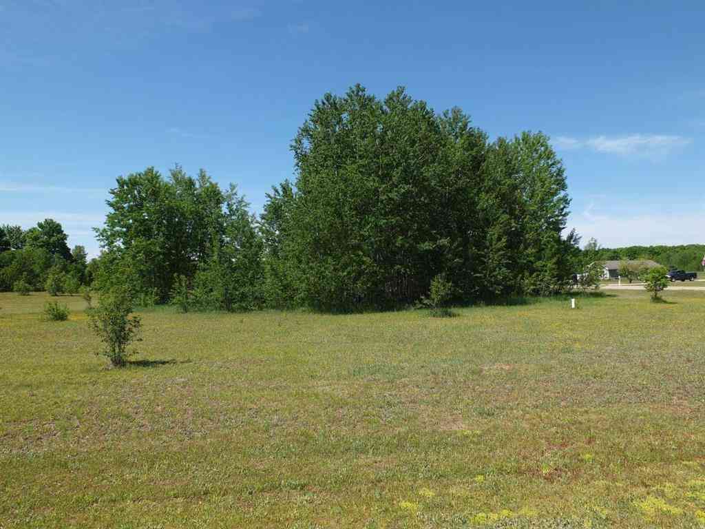 Vacant Land For Sale - LOT 31 Kingsfield Drive <br/> Kingsley, MI 49649