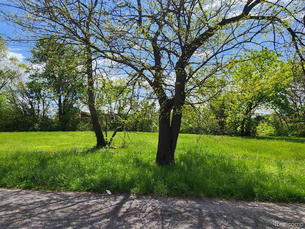 Vacant Land For Sale - 570 Westminster Street <br/> Detroit, MI 48202