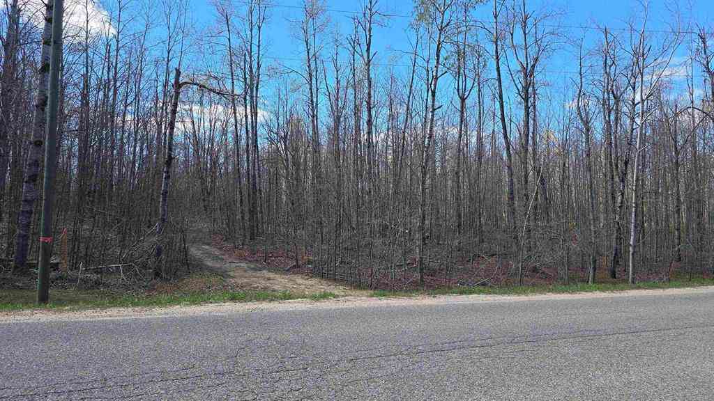 Vacant Land For Sale - VL LOT 457 Pineview Drive <br/> Mancelona, MI 49730