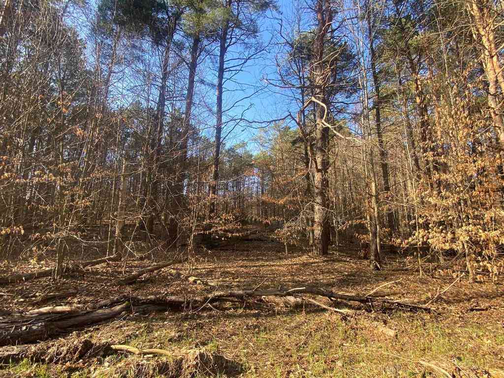 Vacant Land For Sale - Stags Head Drive <br/> Cadillac, MI 49601
