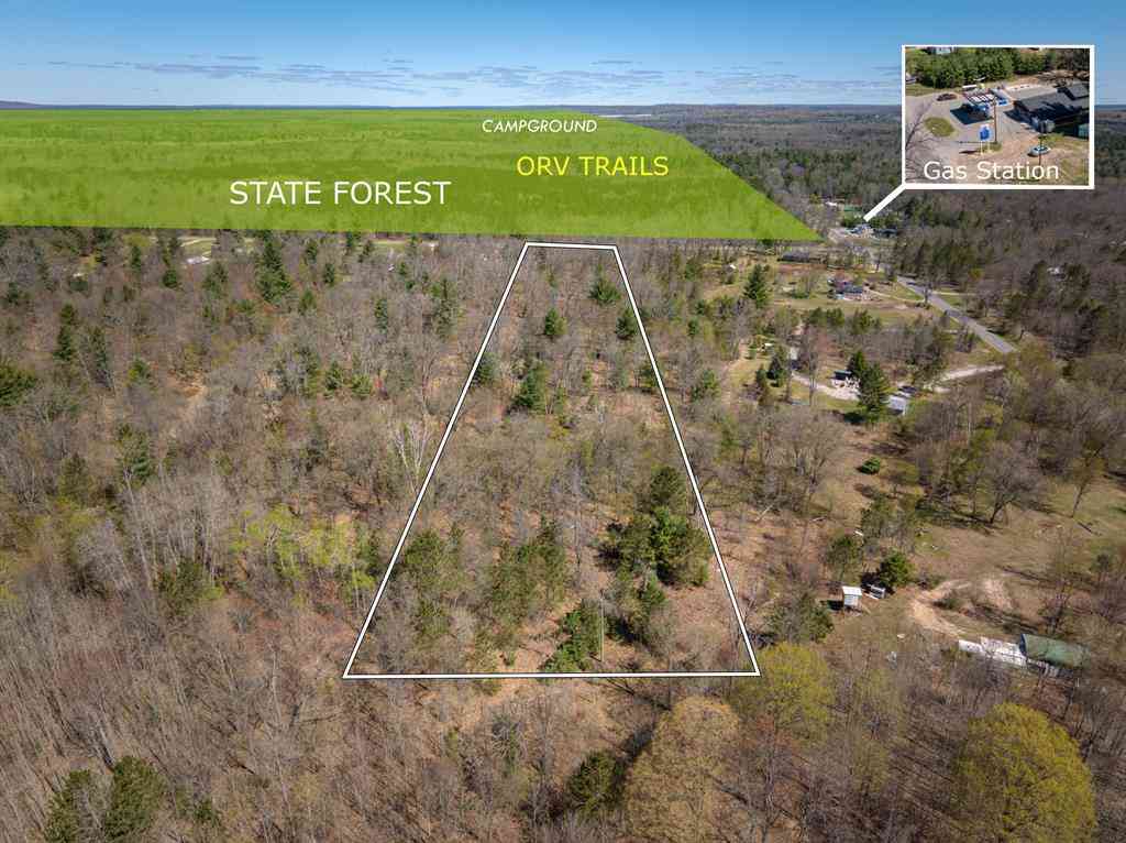 Vacant Land For Sale - 3911 E 3 Mile Road <br/> Luther, MI 49656