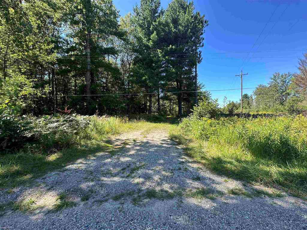 Vacant Land For Sale - Long Lake Road <br/> Hale, MI 48739