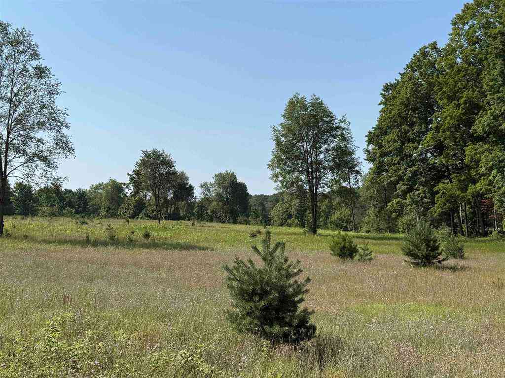 Vacant Land For Sale - PARCEL A6 S Bright Road <br/> Maple City, MI 49664