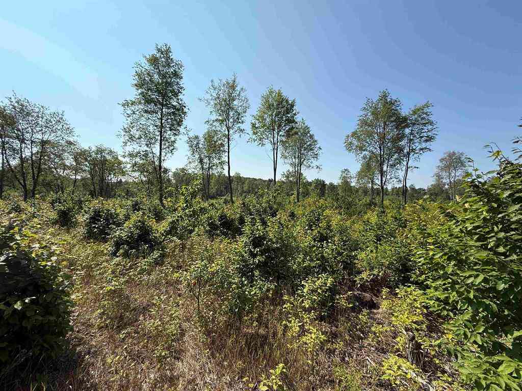 Vacant Land For Sale - PARCEL A3 E Kasson Road <br/> Maple City, MI 49664