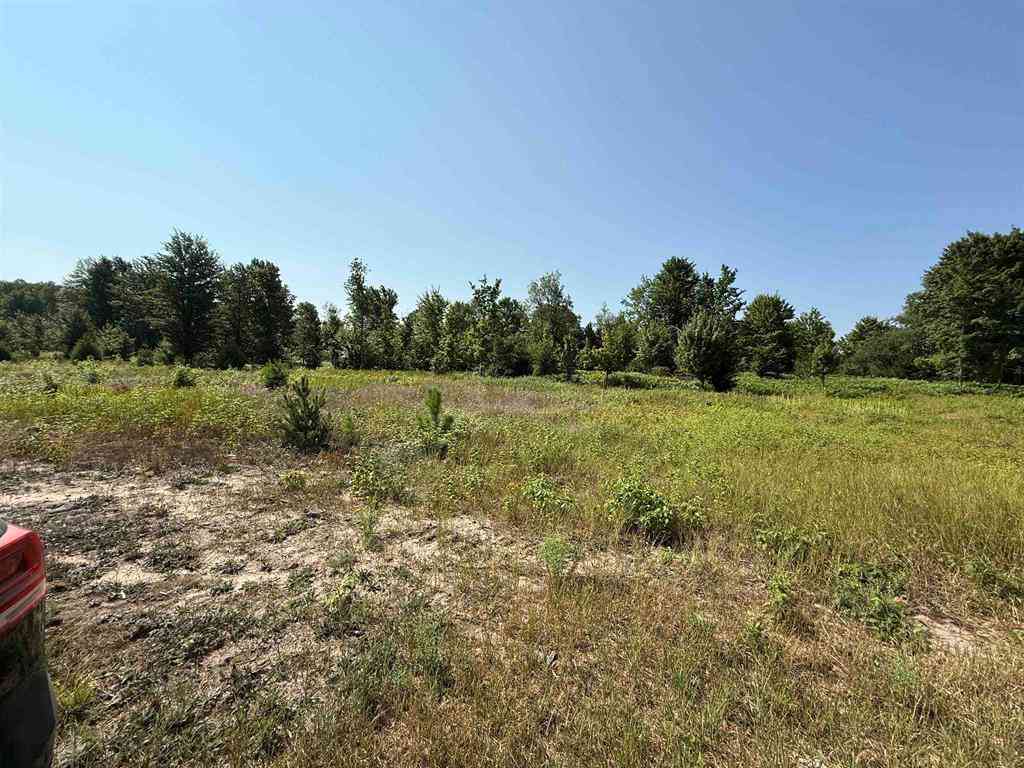 Vacant Land For Sale - PARCEL A7 S Bright Road <br/> Maple City, MI 49664