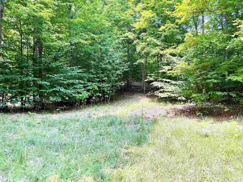 Vacant Land For Sale - 0015 S Mistys Trail <br/> Empire, MI 49630