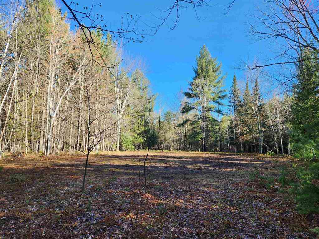 Vacant Land For Sale - 00 Adams Road <br/> Kalkaska, MI 49646