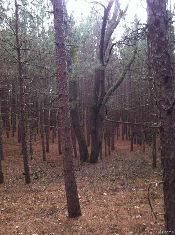 Vacant Land For Sale - 000 56th Street  <br/> Chase, MI 49623