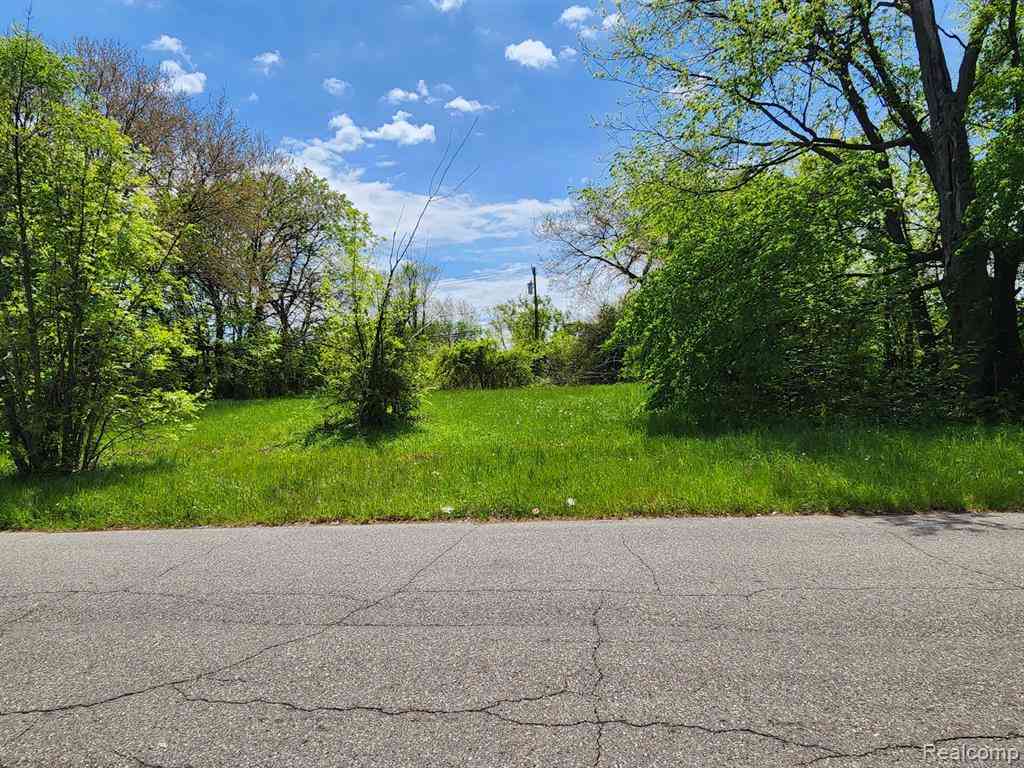 Vacant Land For Sale - 552 Westminster Street <br/> Detroit, MI 48202