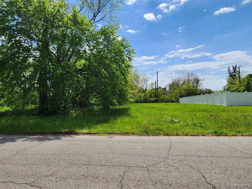 Vacant Land For Sale - 542 Westminster Street <br/> Detroit, MI 48202