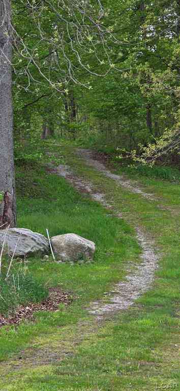 Vacant Land For Sale - 12000 Slee Road <br/> Manitou Beach, MI 49253