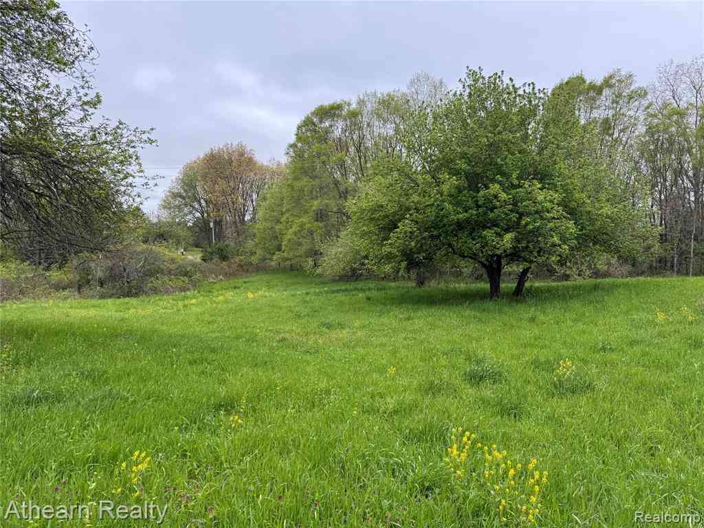 Vacant Land For Sale - VL DUTTON RD Dutton Road <br/> Gregory, MI 48137