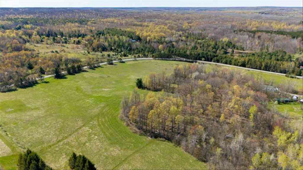 Vacant Land For Sale - V/L W Curtisville Road <br/> South Branch, MI 48761