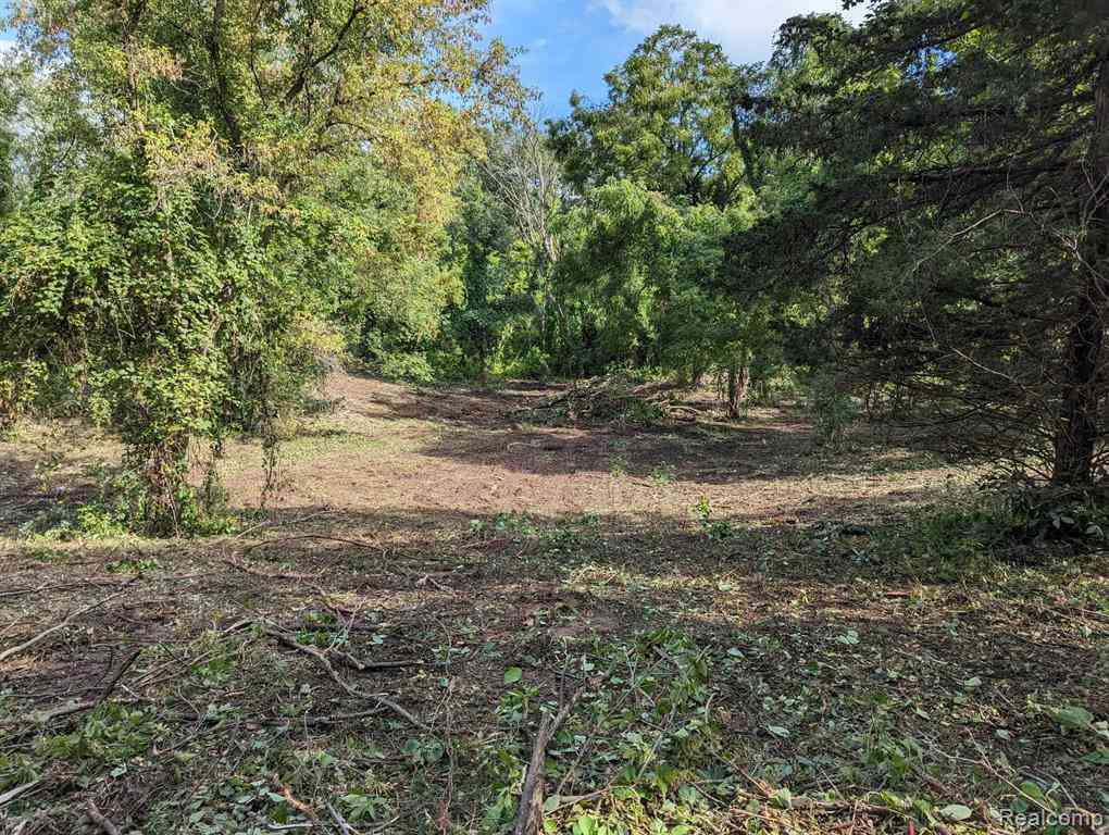Vacant Land For Sale - 2 Dawson Road <br/> Milford, MI 48381