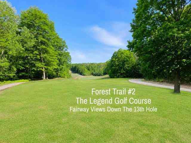 Vacant Land For Sale - 2 Forest Trail <br/> Bellaire, MI 49615