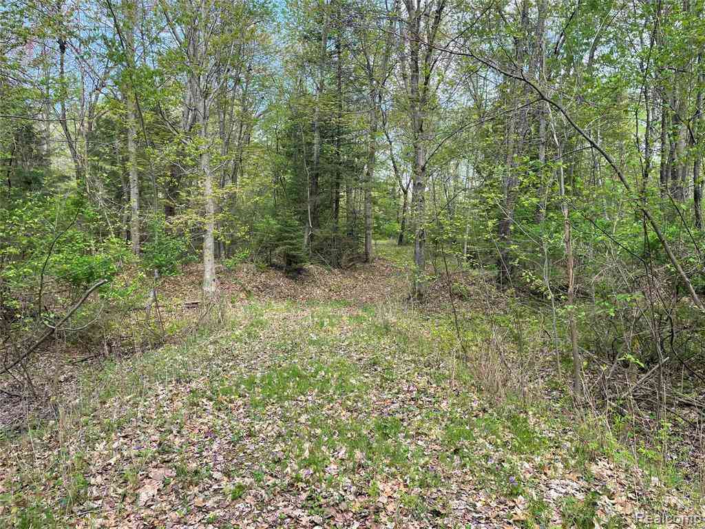 Vacant Land For Sale - NA Oakridge Drive <br/> Au Gres, MI 48703