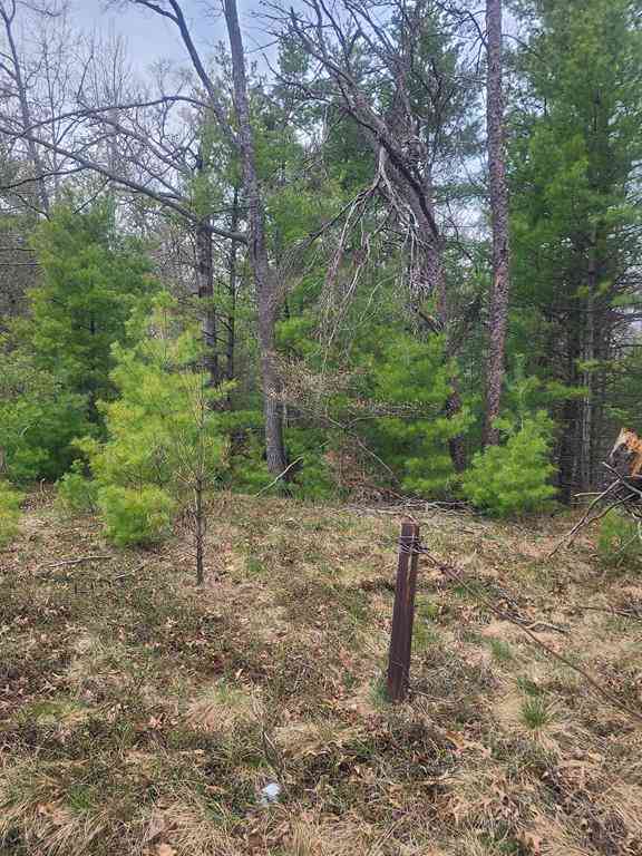 Vacant Land For Sale - 3856 Old State Road <br/> National City, MI 48748