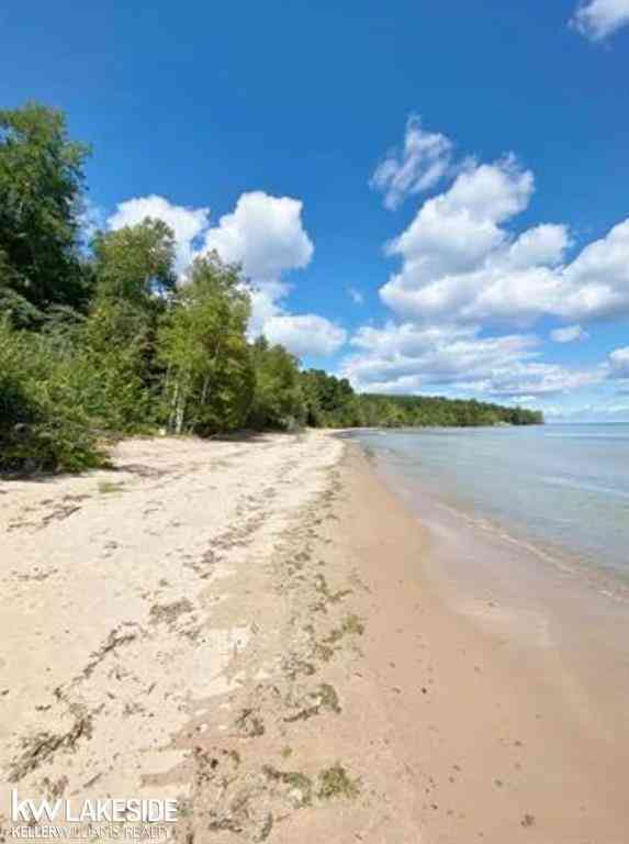 Vacant Land For Sale - 6248 Lakeshore Drive <br/> Palms, MI 48465