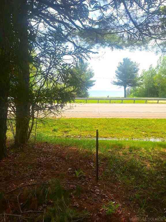 Vacant Land For Sale - PARCEL 2 Lakeshore Road <br/> Sanilac County, Applegate, MI 48401