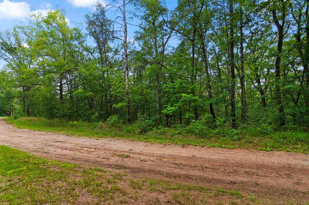Vacant Land For Sale - V/L W Pontiac Street <br/> Baldwin, MI 49304