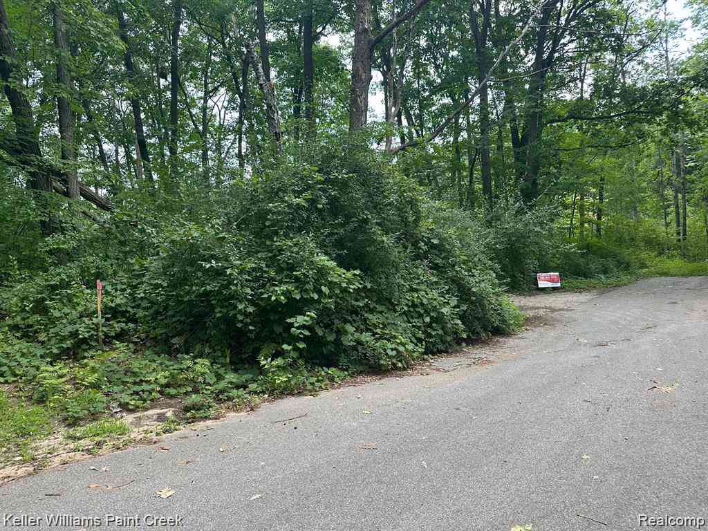 Vacant Land For Sale - 933 Hammond Road <br/> Harrison, MI 48625