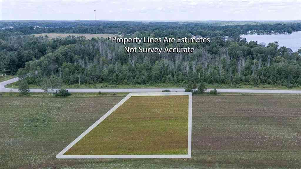 Vacant Land For Sale - 00 LOT 5 Countyline Road <br/> Hale, MI 48739
