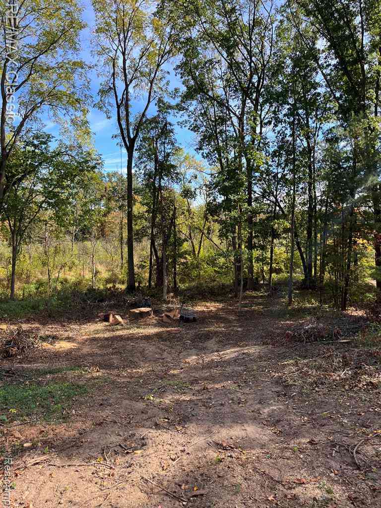 Vacant Land For Sale - 0000 Old Mill Road <br/> Pinckney, MI 48169