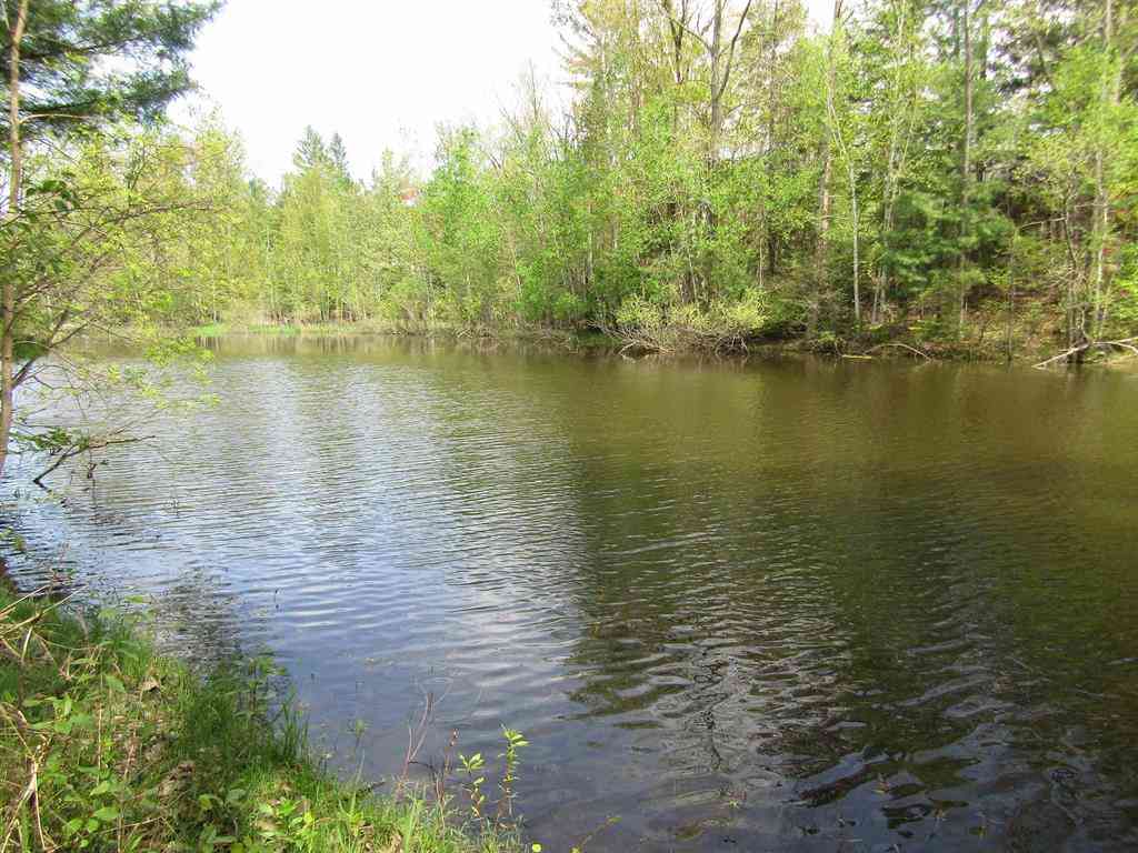 Vacant Land For Sale - VL_199 W Caribou Trail <br/> West Branch, MI 48661
