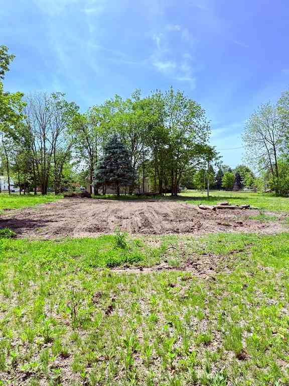 Vacant Land For Sale - 308 Rose Street <br/> Kalamazoo County, Vicksburg, MI 49097
