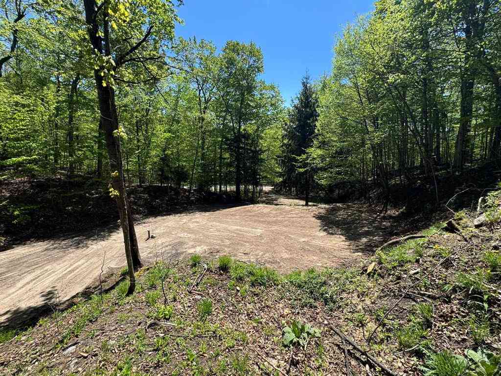 Vacant Land For Sale - 1801 E Old Mountain Road <br/> Cedar, MI 49621