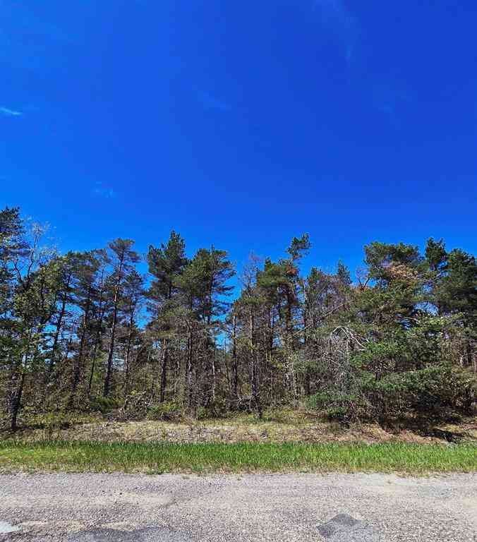 Vacant Land For Sale - 253 Country Club Drive <br/> Mancelona, MI 49659