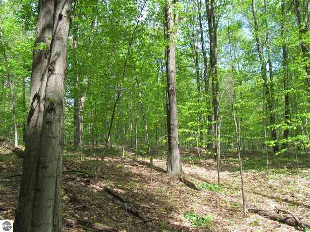 Vacant Land For Sale - 00 M-115  <br/> Osceola County, Tustin, MI 49688