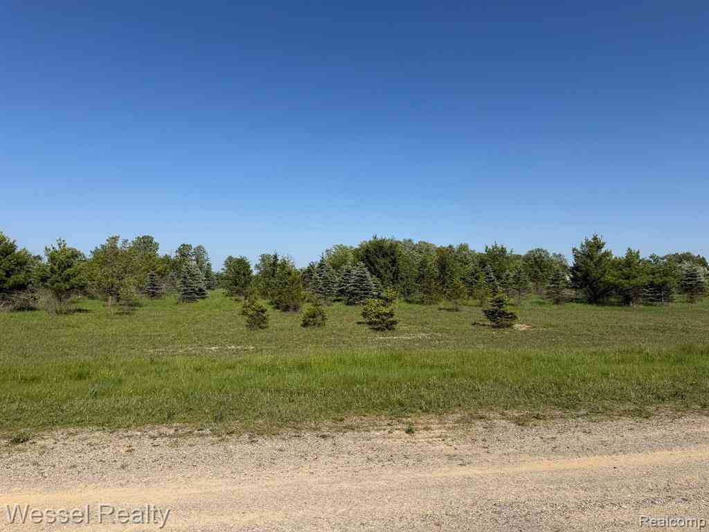 Vacant Land For Sale - Windmill Lane <br/> Lapeer County, Imlay City, MI 48444