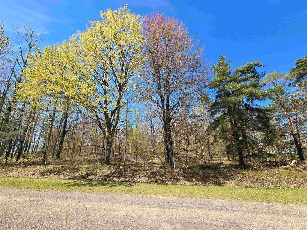 Vacant Land For Sale - 235 Country Club Drive <br/> Mancelona, MI 49569