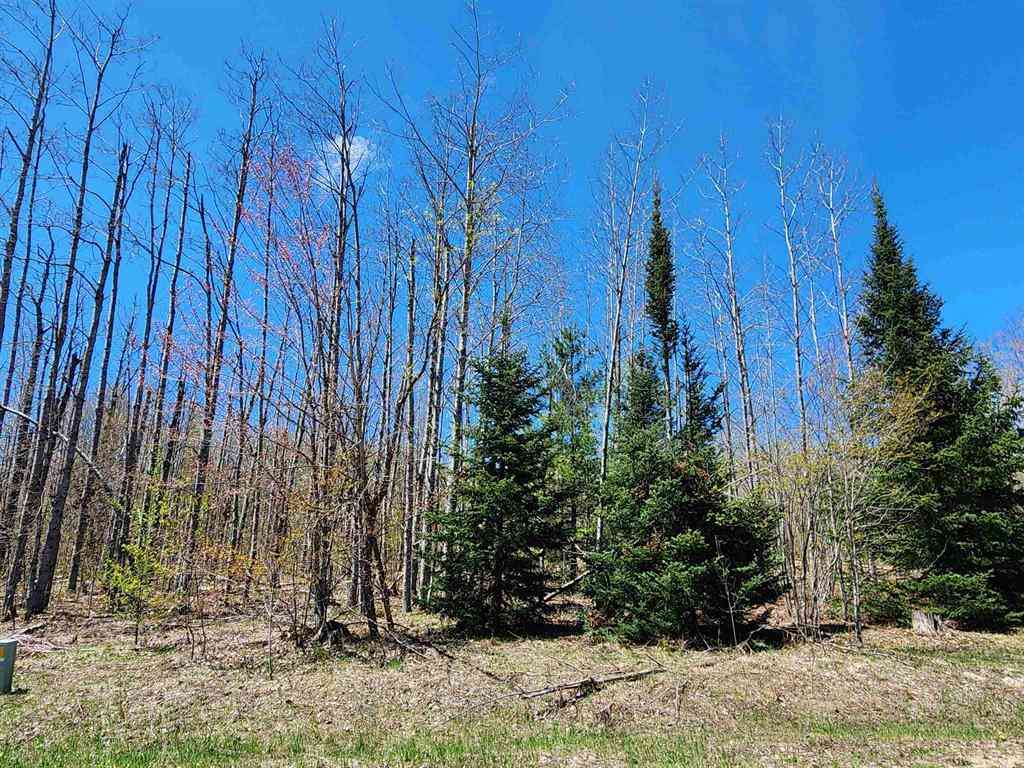 Vacant Land For Sale - 454 & 455 Pleasant Ridge Drive <br/> Mancelona, MI 49659
