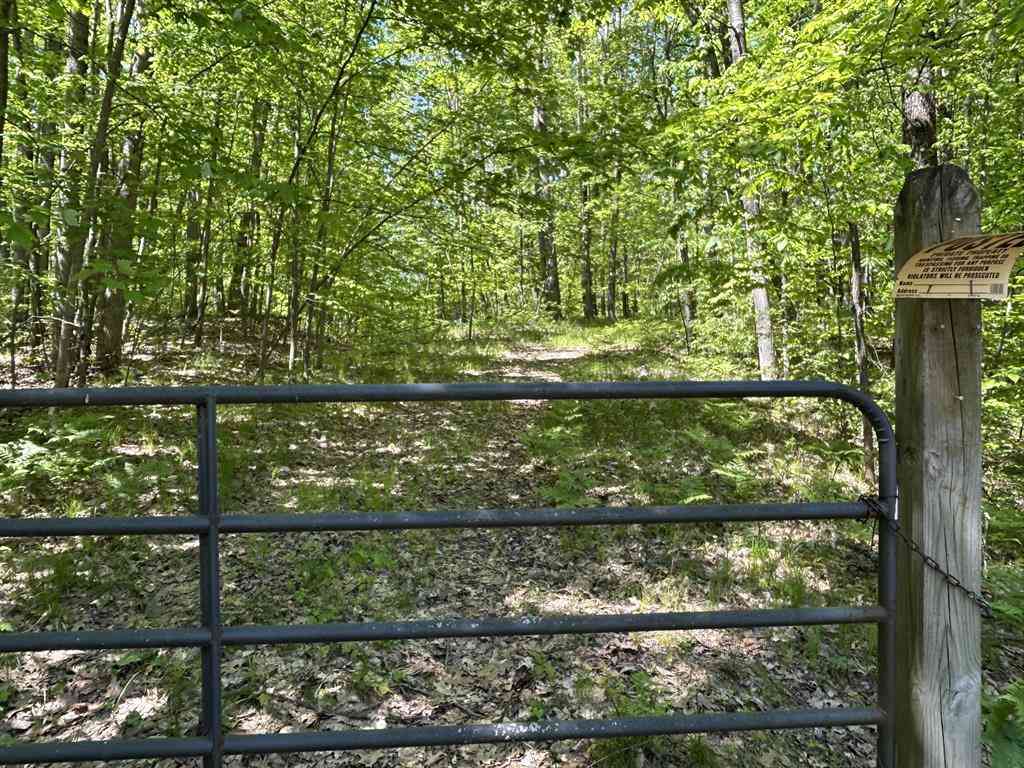 Vacant Land For Sale - 9800 Avenue C  <br/> Mecosta County, Mecosta, MI 49332