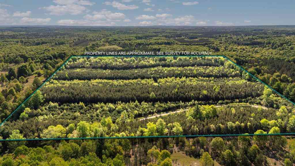 Vacant Land For Sale - ACREAGE-40 Cedar Creek Road <br/> Fife Lake, MI 49633