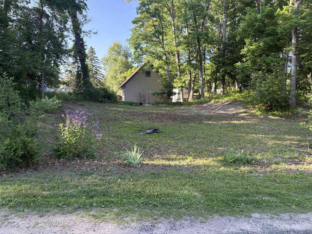 Vacant Land For Sale - 444 Poplar Street <br/> Lenawee County, Brooklyn, MI 49230