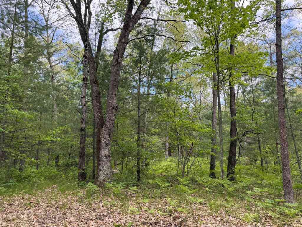 Vacant Land For Sale - Harris Road <br/> Wellston, MI 49689