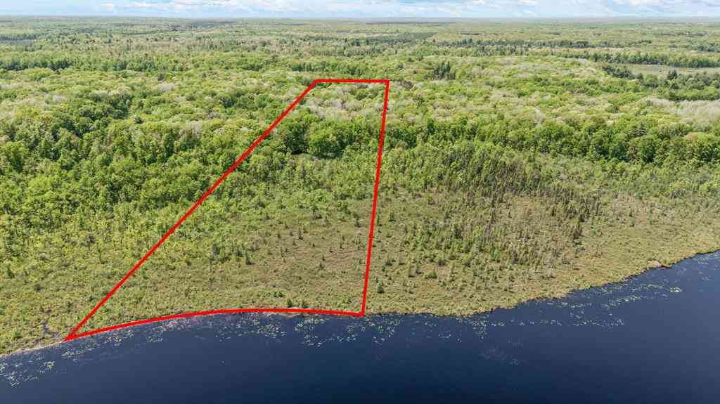 Vacant Land For Sale - 00 V/L N Hunters Way <br/> Newaygo County, White Cloud, MI 49349