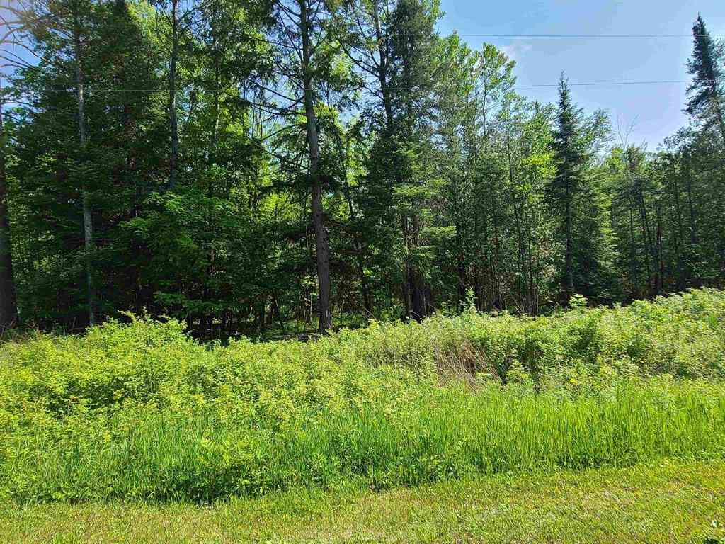 Vacant Land For Sale - 1281 W Trask Lake Road <br/> Barton City, MI 48705