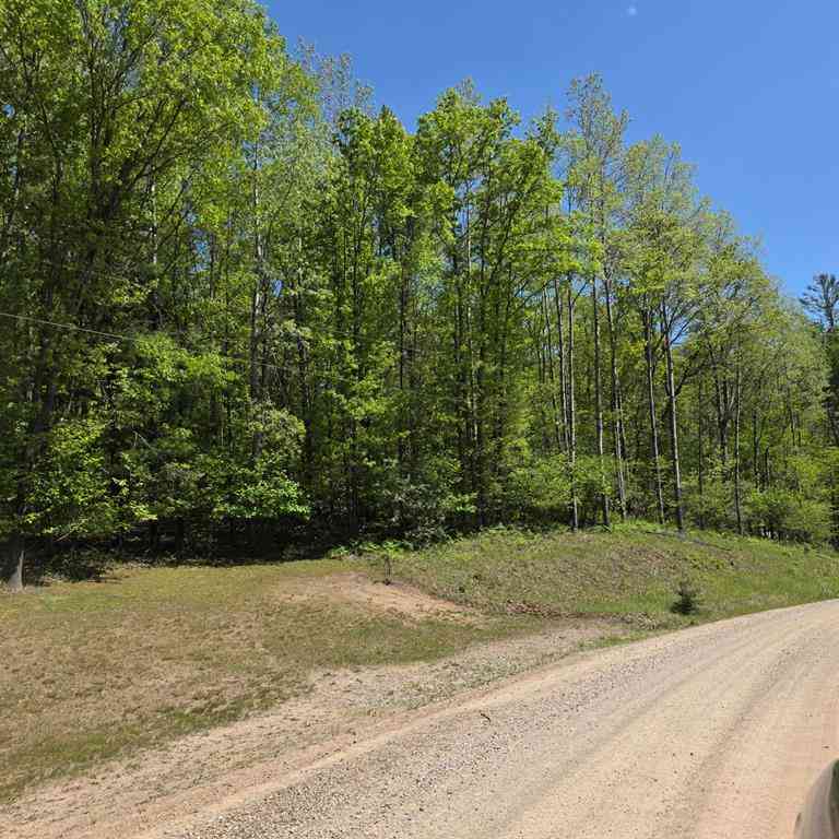 Vacant Land For Sale - 4796 90th Avenue <br/> Evart, MI 49631