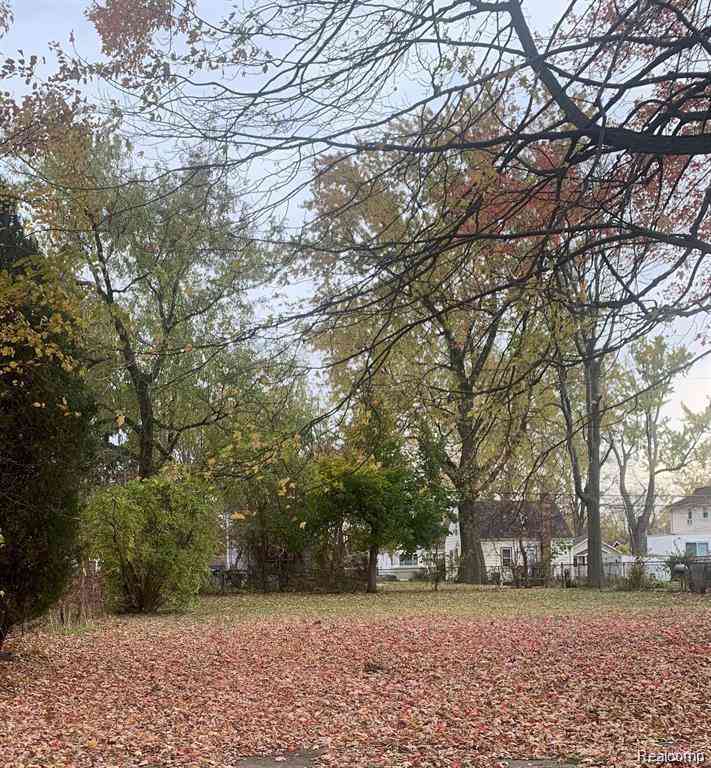 Vacant Land For Sale - 000 W Hayes Ave  <br/> Hazel Park, MI 48030
